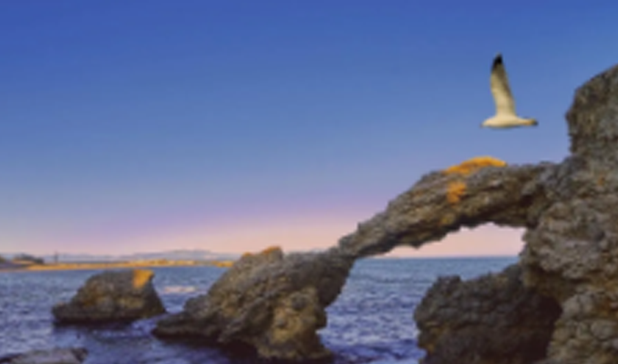 關于將3-氧-2-苯基丁酸甲酯等6種物質列入易制毒化學品管理的公告