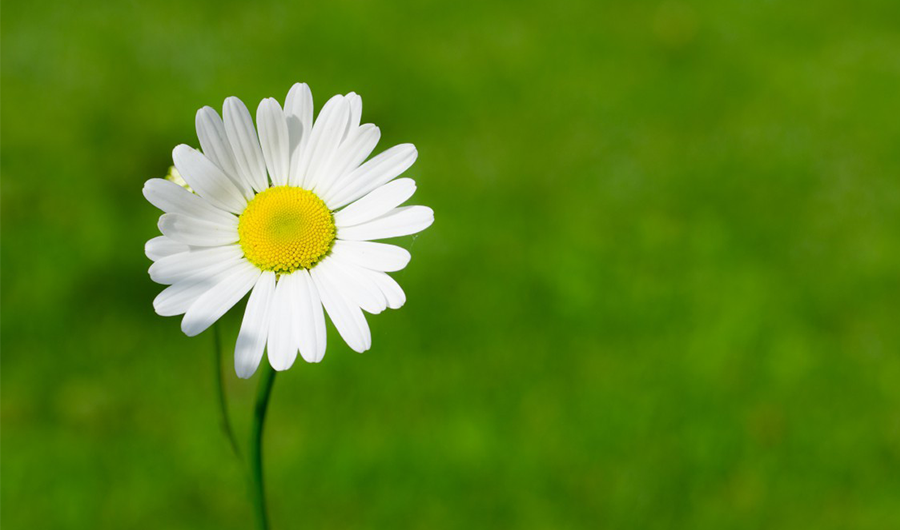 夏天運(yùn)輸確保低溫產(chǎn)品的穩(wěn)定性